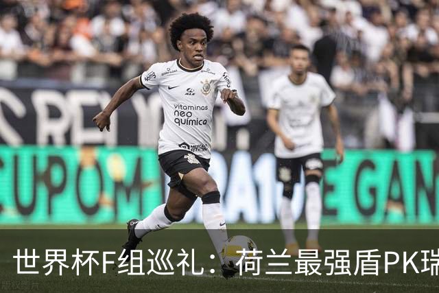 世界杯F组巡礼：荷兰最强盾PK瑞典犀利刀 日本短板明显